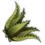 Aloe Vera Shoot