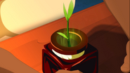 Magic tear is touching the plant