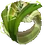 Cap'n Sprunga Leek's Ring