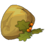 Gorsegoyle Seed