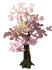 Cherry Tree