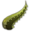 Aloe Vera Leaf