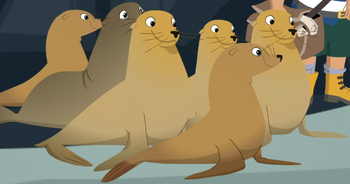 Sea Lions