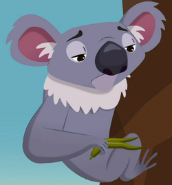Koala