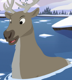 Caribou
