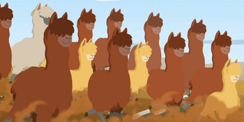 Alpacas