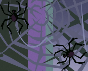 Spiders