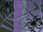 Spiders