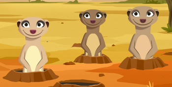 Meerkats