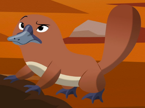 Platypus