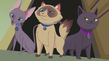 Masha, Dasha and Sasha