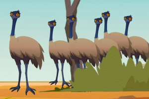 Emus