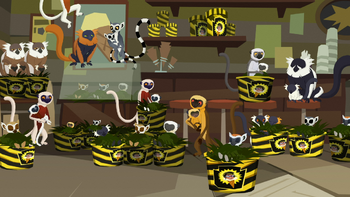 Lemurs
