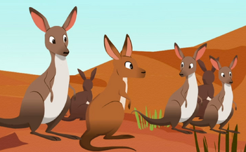 Wallabies