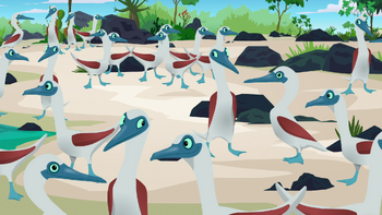 Blue-Footed Boobies