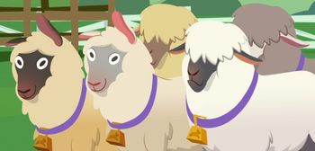 Sheep