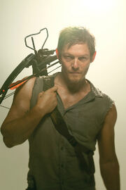 Daryl Dixon (TV Series)