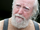 Hershel Greene (série TV)