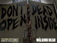 TWD-800x600-4PRE