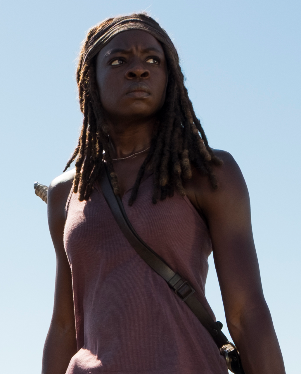 Michonne (série TV) .