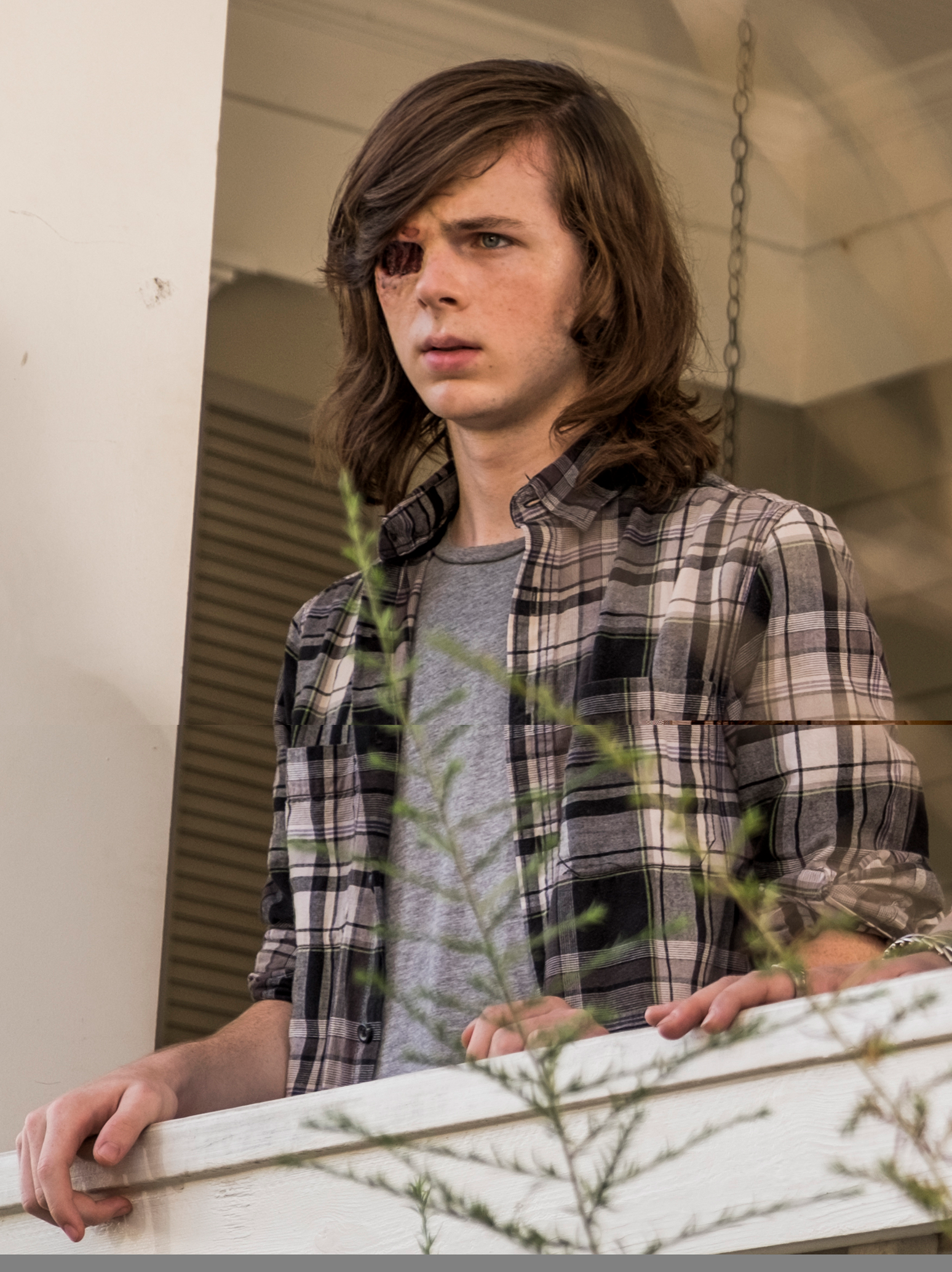 Carl Va T Il Mourir The Walking Dead Saison 8 Carl Grimes (série TV) | Wiki The Walking Dead | Fandom