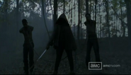 Michonne11