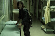 11x24 Daryl