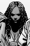 Issue 143 - Michonne 1