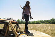 Normal TWD 704 GP 0607 0324-RT