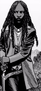 Issue 172 - Michonne 6