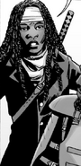 Issue 178 - Michonne 13