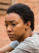 Sasha Williams