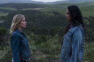 Normal FTWD 308 RF 0327 2059-RT-min