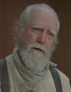 Hershel sadjas