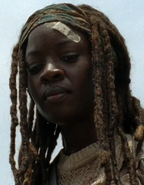 TFG Michonne Over Gov