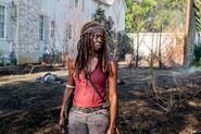 TWD 8x10 Michonne