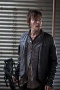 Daryl 12