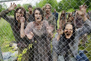 TWD 4x01 Walkers