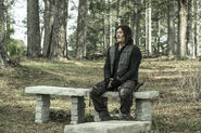 11x24 Daryl (AT)