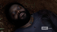 WHW Tyreese Dead