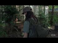 Rosita 7×12