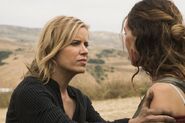 Normal FTWD 313 RF 0531 1115-RT-min