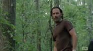 Rick Grimes (31)