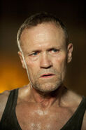 STW Merle Dixon