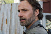 TWD 801 GP 0508 0128-RT