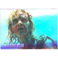 The Walking Dead - Sticker (Season 2) - S19 (Foil Version)