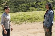 Normal FTWD 308 RF 0327 1408-RT-min