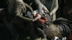 11x17 مرگ مشترک المنافع 9