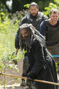 TWD 7x02 Ezekiel