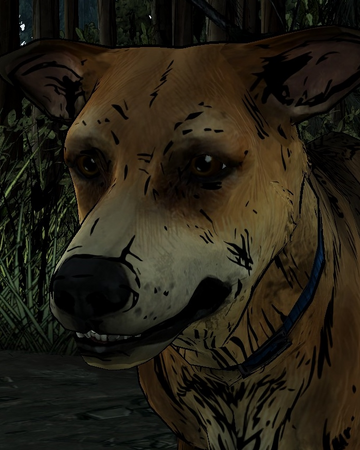 Sam Animal Walking Dead Wiki Fandom